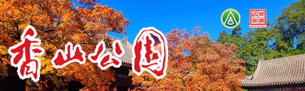 香山公园欢迎您